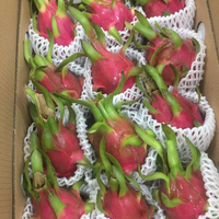 OEM Leverancier Gecertificeerd HACCP/ISO Premium Vietnam Oorsprong Diepvries Drakenvrucht IQF Hoge Kwaliteit Bulk Export Standaard Privélabel