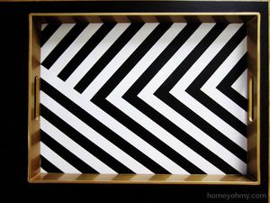 Bandeja para Huesos de Calidad Premium con Compartimentos, Apta para Aplicaciones de Laboratorio y Alimentación, Disponible para la Venta - Product Image 3