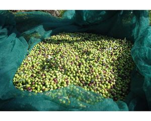 Malla de Protección para Frutas, Rejilla de Cobertura para el Suelo, para la Cosecha de Árboles Frutales - Product Image 3