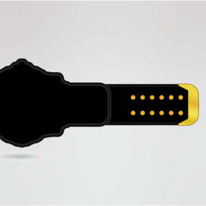 Custom Wrestling Championship Belt Black <b>Gold</b> Logo <b>Numbered</b> Plates Sport Equipment Trophy Award Handmade Fantasy Trophy Award - Product Image 4