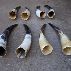 Par de Cuernos de Búfalo Pulidos para Decoración de Pared, Diseño Art Deco, Grandes de 27 a 35 Pulgadas, para Bodas, Cumpleaños, Aniversarios - Product Image 1