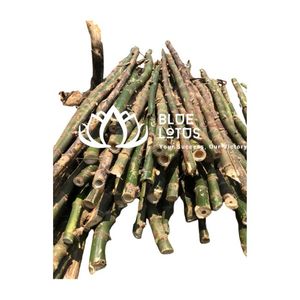 PRODUIT PHARE : Piquet de soutien agricole réutilisable en bambou pour la culture - Product Image 1
