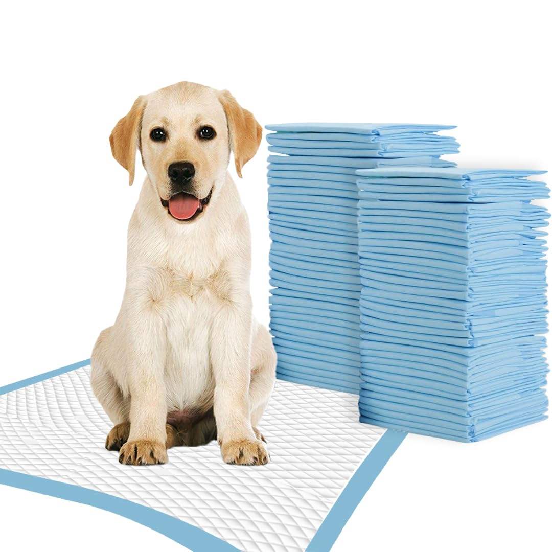 Animal My Dog Ate A Puppy Pad Dog Eating Pee Pads Cheap