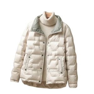 2024 nuevos hombres Casual cuello redondo de un solo pecho transpirable ecológico cierre de cremallera Puffer Parka prendas de vestir abrigo de pato blanco lona - Product Image 6
