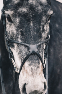 Professional English Leather Horse Bridle Select Anatomical with Stainless Steel Hardware Soft Padded Noseband Top Selling - Product Image 4