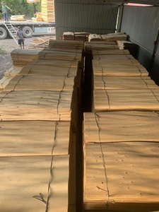 Más Vendido - Láminas de Chapa de Madera al Precio Más Bajo, Técnica de Corte Rotatorio, Exportación a Todo el Mundo, Chapa de Madera Natural - Product Image 4