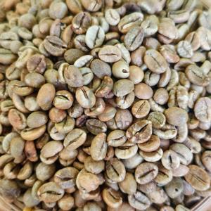Wholesale Robusta Coffee Bean Natural Process Screen 18 Low Moisture <b>Raw</b> <b>Material</b> for Roasting New Crop Dak Lak Viet Nam - Product Image 5
