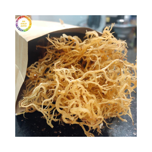 สาหร่ายคอตตอนนีแห้งจากเวียดนาม สาหร่ายยูเชียมา วัตถุดิบสำหรับคาร์ราจีแนน ขายส่งจำนวนมาก - Product Image 1