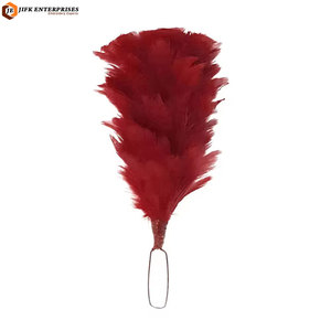 Plumes de style naturel de qualité supérieure pour la confection de costumes et d'objets décoratifs, avec finition raffinée pour chapeaux, service OEM personnalisé - Product Image 3