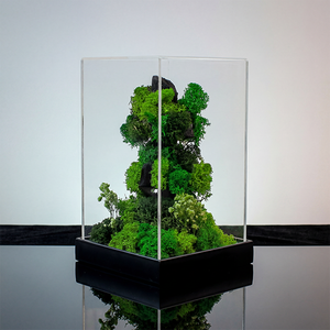 Terrarium vertical avec mousse et fleurs préservées, 5,5 x 5,5 x 9 pouces, couvercle en acrylique, décoration écologique - Product Image 1