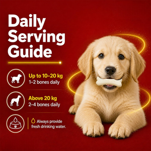 Masticables de Calcio para Perros, para la Salud Dental, Limpieza Natural de Dientes, Cuidado de la Higiene Bucal, Golosinas Saludables para Mascotas, OEM, ODM, Etiqueta Privada Personalizada - Product Image 6