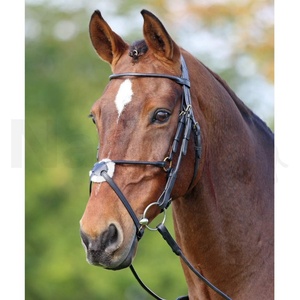 หนังรีดบังเหียนเม็กซิกัน - Product Image 2