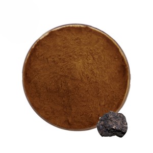 Poudre d'extrait de Shilajit 100% authentique, poudre d'extrait de Shilajit de l'Himalaya de qualité supérieure, soutient l'énergie et la nutrition minérale chez les hommes - Product Image 3