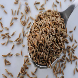 Prix de gros Graines de cumin naturelles de haute qualité Marque propre Épice unique Herbe Frit Durée de conservation de 12 mois Stockage au frais et au sec - Product Image 3