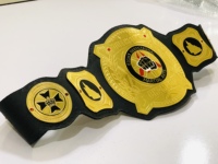 Cinturones de Campeonato Personalizables para Equipos Juveniles, MMA, Taekwondo, Boxeo, Karate, Unisex, 1.5M de Largo, Forro de Piel Sintética
