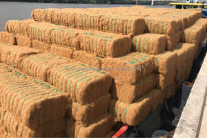 Les grossistes vietnamiens fournissent de la fibre de coco crue naturelle à bas prix pour les meubles et l'artisanat directement de Mr.Huy + 84916930070 - Product Image 2