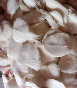 งานเทศกาลเดือนมีนาคม ของตกแต่งทำมือคุณภาพสูง เป็นมิตรกับสิ่งแวดล้อม ใบโซล่าคงทน ตกแต่งดอกไม้แสนโรแมนติก สำหรับงานรับปริญญา - Product Image 1