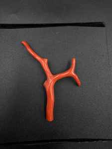 Cuentas de coral rojo italiano en forma de rama, piedra preciosa en bruto para la fabricación de joyas, coral natural en forma de árbol, piedra preciosa de alta calidad, 14.55 ct - Product Image 2