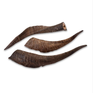 Alimento Masticable para Perros, el Mejor Cuerno de Búfalo Pulido para Masticar - Product Image 2