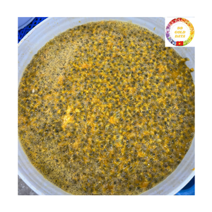 Puré de Maracuyá Congelado Natural Sin Azúcar Añadido, Fabricante de Vietnam para Smoothies, Jugos, Cafeterías y Producción de Bebidas - Product Image 1