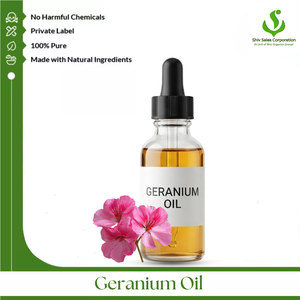 Exportador de Aceite de Geranio Fresco que Ofrece Suministro a Granel de Calidad Premium para Cosméticos, Cuidado Personal y Fragancias Internacionales - Product Image 1
