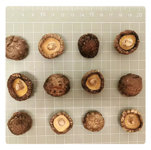 PREMIUM EXPORT-Champignons Shiitake séchés de qualité supérieure-Frais et fiables du Vietnam - Product Image 4