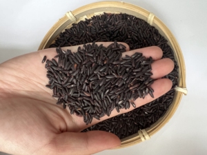 Riz noir collant de nouvelle récolte du Vietnam Tien Giang – Exportateur en gros proposant des grains entiers naturels d'excellente qualité - Product Image 1