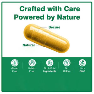 Capsules avancées de zinc de sureau de quercétine 120 soutien corporel antioxydant végétarien pour adultes maintient la santé cellulaire - Product Image 4