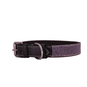 Collar para Perro con Placa de Identificación de Cuero Patentado, Acolchado, Accesorio Premium para Mascotas - Product Image 2