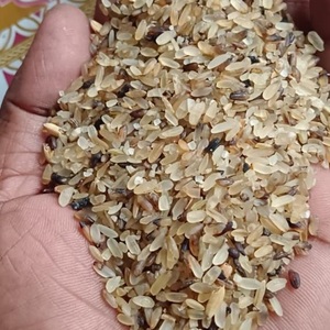 Riz sec de rejet de haute qualité pour l'exportation en gros, à faible coût, d'origine indienne, destiné à l'alimentation - Product Image 1