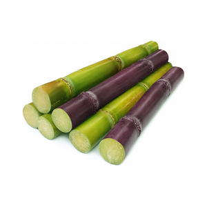 Canne à sucre de haute qualité pour les achats en gros, la distribution au détail et la transformation alimentaire - Product Image 1