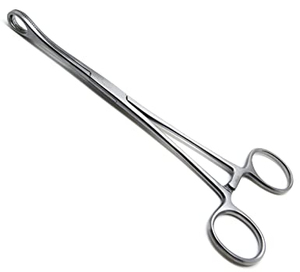 <b>Sponge</b> Holding Forceps Professional Surgical Instrument Stainless Steel Reusable Design with <b>Long</b> <b>Handle</b> Curved Serrated Jaws - Product Image 2