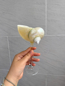 Copa de Vino de Concha Natural Costera, Hecha a Mano, Decorativa, para Casa de Playa, Hotel y Restaurante - Product Image 1