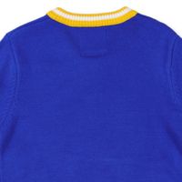 Pull en laine col en V unisexe Sigma Gamma Rho – Vêtement de sororité grecque, pull tricoté haut de gamme, chaud, décontracté, style universitaire, personnalisé