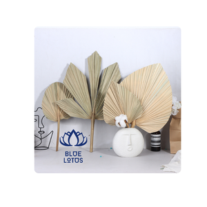 Ventilador de Mano de Palma TOP CHOICE para Decoración de Bodas y Sesiones de Fotos, No Requiere Energía - Product Image 1