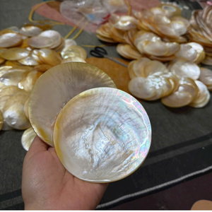 จานเปลือกหอยเวียดนามงานฝีมือสุดประณีต ขอบชุบเงิน พร้อมประกายรุ้งอันงดงามสำหรับนักสะสม - Product Image 6