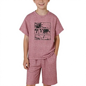 Boys Pink Tropical Print Sweatshirt and Shorts Set Casual Jersey Fabric Outfit with Custom Logo and Customize Brand - Product Image 1