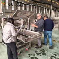 Machine d'enrobage automatique au chocolat avec tunnel de refroidissement, machine industrielle de recouvrement au chocolat pour bonbons, biscuits, noix