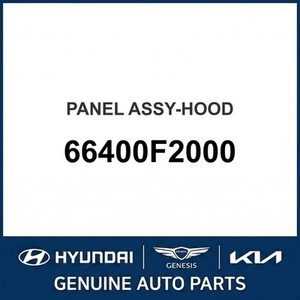Panneaux de capot neufs pour Elantra 66400F2000 - Product Image 1