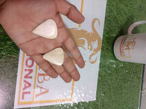 ปิ๊กกีตาร์ทำจากกระดูกควายแกะสลักคุณภาพดีที่สุด ปิ๊กกีตาร์เบสทำจากกระดูกอาเกต หนา 1.5 มม. รูปทรง 351 ผิวธรรมชาติ - Product Image 3