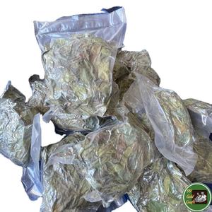 Hojas de Guanábana Secas de Alta Calidad, Material Natural para el Procesamiento de Té y Aplicaciones de Bebidas, Vietnam - Product Image 1