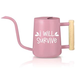 Arrosoir en métal avec manche en bois noir, idéal pour les plantes d'intérieur, de balcon et de jardin extérieur, outil d'arrosage de jardin en provenance d'Inde - Product Image 3