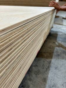Contrachapado de chapa de abedul 1220 x 2440/ 1250 x 2500, grado D/DD, certificado E0 E1 CARB P2 para fabricación de muebles y paneles interiores - Product Image 5