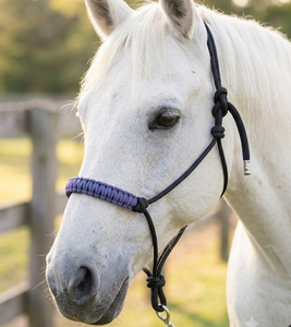 เชือกไนลอนถักหลากสีม่วงดำ HM GLOBAL พร้อมสายรัดคอแบบ Halter ทนทาน คุณภาพสูง ฮาร์ดแวร์เหล็กนิกเกิล  สำหรับม้า - Product Image 4