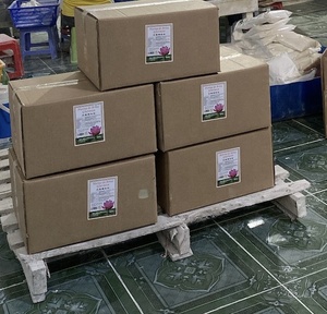 แป้งข้าวเอเชียสำหรับส่วนผสมอาหารขายส่งจากโรงงานข้าวบรรจุเป็นกลุ่มถุง25กก. 250กรัม500กรัม - Product Image 5