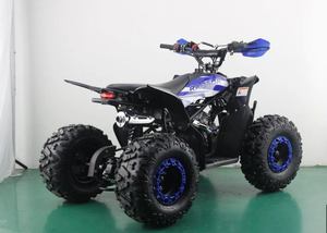 Quad 110cc Chithan durable à monter soi-même avec moteur puissant, garantie 3 ans, poignée en plastique, OEM/ODM pour enfants - Product Image 2