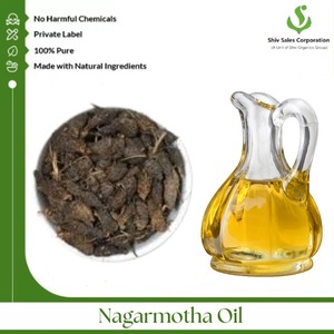 Aceite Esencial de Nagarmotha 100% Puro y Natural de Calidad Premium, Grado Industrial, Color Amarillo Oscuro, 1000 kg, de la India, Ampliamente Vendido al por Mayor - Product Image 5