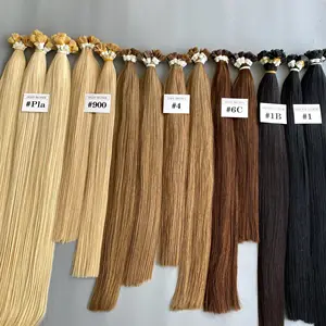 Extensions de cheveux humains Traitement des cheveux Fournisseurs vietnamiens Pointe plate Kératine Full Color Ring No Split Ends
