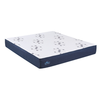 Hochwertige Fünf-Sterne-Hotel-Qualität Hypoallergene Komfortable Langlebige Komprimierte Verpackte Gel-Memory-Foam-Matratze