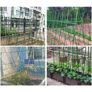 Tuteurs tubulaires métalliques plastifiés pour plantes et cannes de jardin pour tomates - Product Image 6